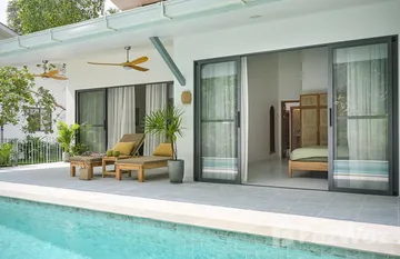 Hillel in Koh Phangan, Surat Thani