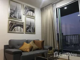 2 Bedroom Condo for rent at Rhythm Sukhumvit 50, Phra Khanong, Khlong Toei, Bangkok, Thailand