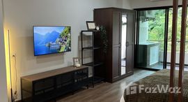 ยูนิตมือสองและให้เช่า