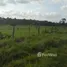  Terrain for sale in Para, Belem, Para