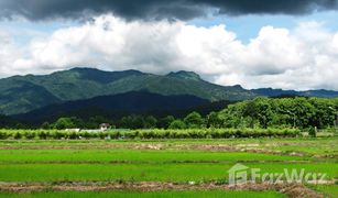 N/A Grundstück zu verkaufen in Pong Phrae, Chiang Rai 