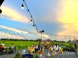 ขายพื้นที่ค้าปลีก ใน บ้านเรือ, ขอนแก่น, บ้านเรือ, ภูเวียง, ขอนแก่น, ไทย