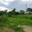  Land for sale at Summit Green Valley , Mae Sa