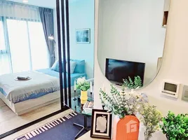 1 Bedroom Condo for rent at Modiz Sukhumvit 50, Phra Khanong, Khlong Toei, Bangkok, Thailand