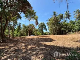 ขายที่ดิน ใน ตลิ่งงาม, สุราษฎร์ธานี, ตลิ่งงาม, เกาะสมุย, สุราษฎร์ธานี