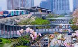 บ้าน for sale in ใน จตุจักร, กรุงเทพมหานคร