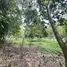  Land for sale in Taling Ngam, Surat Thani, Taling Ngam, Koh Samui