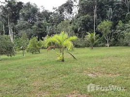  Land for sale in Presidente Figueiredo, Amazonas, Balbina, Presidente Figueiredo