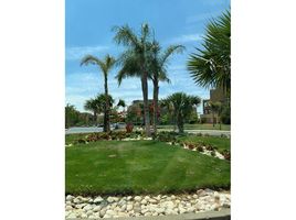 3 Habitación Ático en venta en Palm Parks Palm Hills, South Dahshur Link