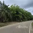  Land for sale in Phangnga, Khlong Khian, Takua Thung, Phangnga