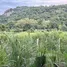  Terreno (Parcela) en venta en Nong Kae, Hua Hin, Nong Kae, Hua Hin, Prachuap Khiri Khan, Tailandia