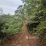 在老挝出售的 房产, Paksxong, Champasak, 老挝