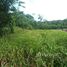  Land for sale in Brazil, Presidente Figueiredo, Amazonas, Brazil