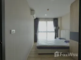 อพาร์ทเม้นท์ 1 ห้องนอน ให้เช่า ในโครงการ ดิ เอ็กเซล ไฮด์อะเวย์ สุขุมวิท 50 , พระโขนง