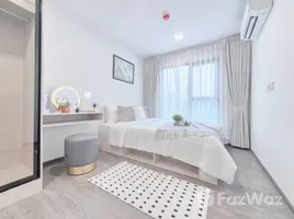 คอนโด 1 ห้องนอน ให้เช่า ในโครงการ เคฟ วันเดอร์แลนด์, คลองหนึ่ง, คลองหลวง, ปทุมธานี