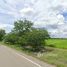  Terrain for sale in Nakhon Sawan, Lat Thippharot, Takhli, Nakhon Sawan