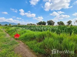  Land for sale in Kan Chu, Phetchabun, Kan Chu