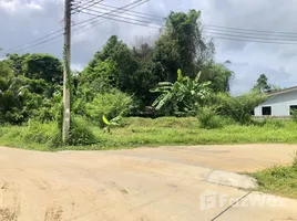  Land for sale in Thalang Phuket, Pa Khlok, Thalang, Phuket