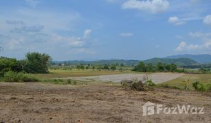 N/A Grundstück zu verkaufen in Tha Khao Plueak, Chiang Rai 