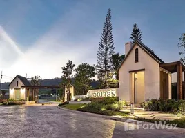 บ้านเดี่ยว 4 ห้องนอน ให้เช่า ในโครงการ อณาสิริ ป่าคลอก, ป่าคลอก, ถลาง