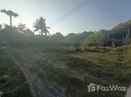 ขายที่ดิน ใน ออนใต้, เชียงใหม่, ออนใต้, สันกำแพง, เชียงใหม่