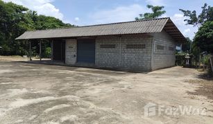 N/A Land for sale in Nong Kaeo, Chiang Mai 