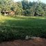  Земельный участок for sale in Nong Sawang, Phetchabun, Nong Sawang, Lom Sak, Phetchabun, Таиланд