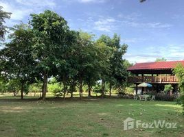 2 Bedrooms House for sale in Chae Chang, Chiang Mai House on 3 Rai Plot for Sale in San Kamphaeng
