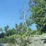 ขายที่ดิน ใน ทับใต้, หัวหิน, ทับใต้