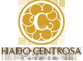 2 Bedroom Condo for sale at HaDo Centrosa Garden, Ward 12