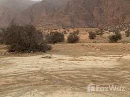  Terrain for sale in Maroc, Tafraout, Tiznit, Souss Massa Draa, Maroc