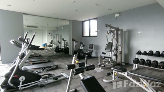 Photo 1 of the Communal Gym at Premio Vetro