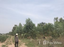 呵叻府 Hua Thale Land for Sale in Mueang Nakhon Ratchasima N/A 土地 售 
