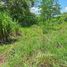  Terreno (Parcela) en venta en Costa Rica, Esparza, Puntarenas, Costa Rica