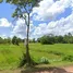  토지을(를) Sakon Nakhon에서 판매합니다., 치앙 수, Phon Na Kaeo, Sakon Nakhon