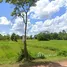 在沙功那空出售的 土地, Chiang Sue, Phon Na Kaeo, 沙功那空