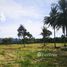  Land for sale in Phuket, Mai Khao, Thalang, Phuket