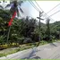  Land for sale in Koh Phangan Surat Thani, Ban Tai, Koh Phangan, Surat Thani, Thailand