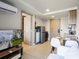 อพาร์ทเม้นท์ 1 ห้องนอน ให้เช่า ในโครงการ เสปซ เชิงทะเล คอนโดมิเนียม, เชิงทะเล