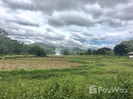  Terreno (Parcela) en venta en Nan, Du Tai, Mueang Nan, Nan