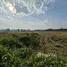  Land for sale in Makhuea Chae, Lamphun, Makhuea Chae, Mueang Lamphun