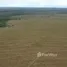  Terreno for sale in Tocantins, Gurupi, Tocantins