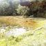  Terreno (Parcela) en venta en Rio Preto Da Eva, Amazonas, Rio Preto Da Eva