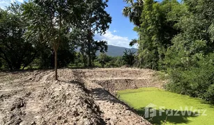 N/A Land for sale in Khuang Pao, Chiang Mai 