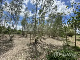 ขายที่ดิน ใน ทับคาง, เพชรบุรี, ทับคาง, เขาย้อย, เพชรบุรี