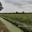  Land for sale in Ban Mo Saraburi, Horathep, Ban Mo, Saraburi