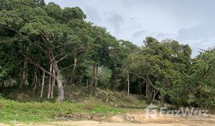 N/A Grundstück zu verkaufen in Ko Si Boya, Krabi 