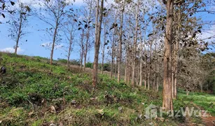 N/A Land for sale in Chan Chawa, Chiang Rai 