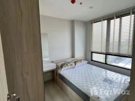 2 спален Квартира в аренду в Nue Noble Srinakarin - Lasalle, Samrong Nuea, Mueang Samut Prakan