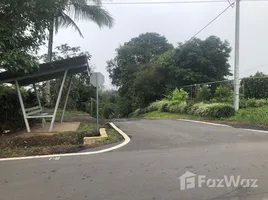  Grundstück zu verkaufen in Renacimiento, Chiriqui, Canas Gordas, Renacimiento